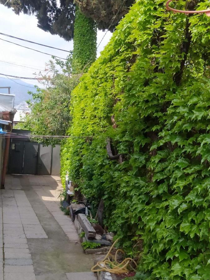 Chubinashvili 19 Tbilisi Exteriér fotografie